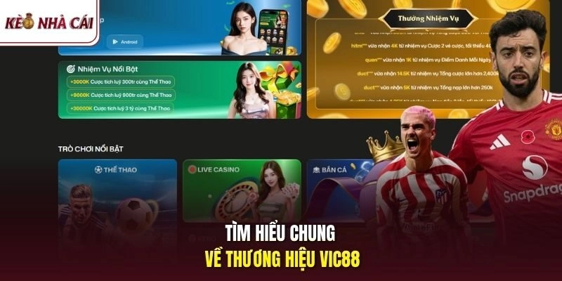 Tìm hiểu chung về  thương hiệu Vic88